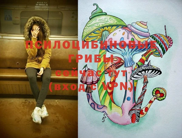 стафф Абинск