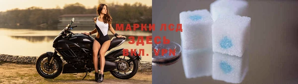стафф Абинск