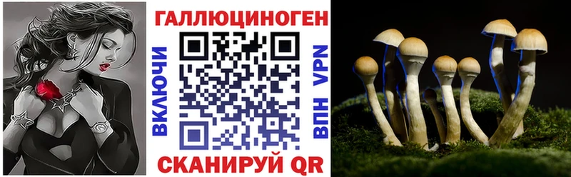Галлюциногенные грибы Cubensis  MEGA ССЫЛКА  Стерлитамак 