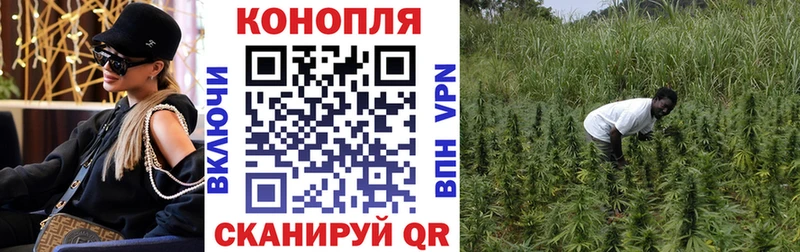 Каннабис план  где можно купить наркотик  Стерлитамак 